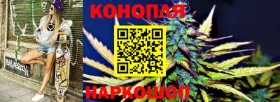 стаф Новокубанск