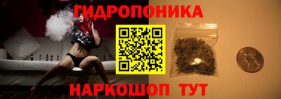 стаф Новокубанск