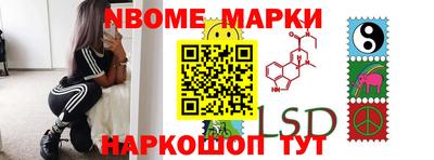 Альфа ПВП Новодвинск