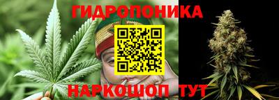 Альфа ПВП Новодвинск