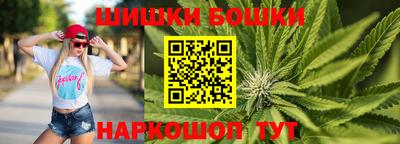 Альфа ПВП Новодвинск