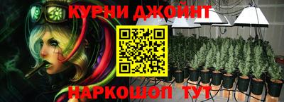 стаф Новокубанск