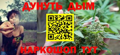 Альфа ПВП Новодвинск