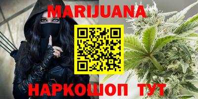 Альфа ПВП Новодвинск