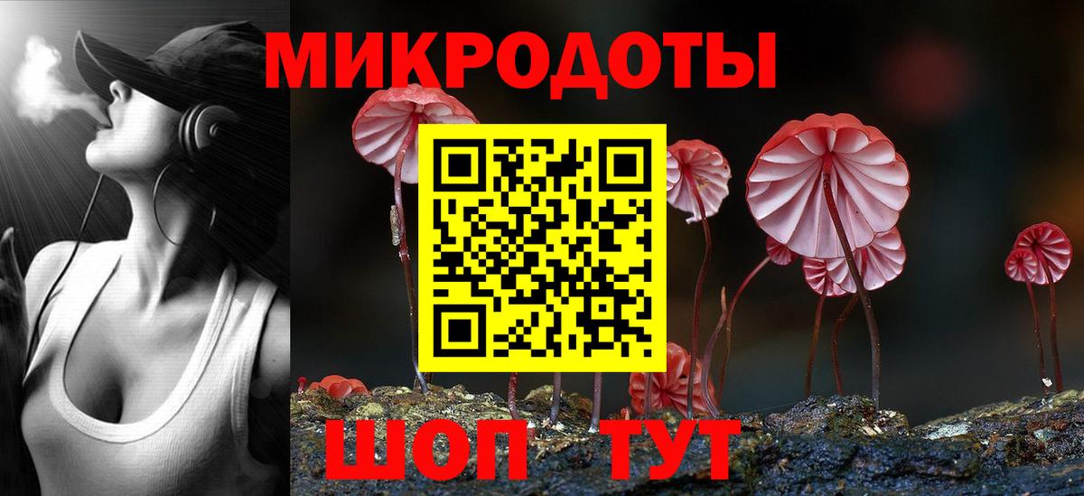 Псилоцибиновые грибы Psilocybine cubensis  продажа наркотиков  Вход с VPN  Тайшет  Псилоцибиновые грибы мицелий 