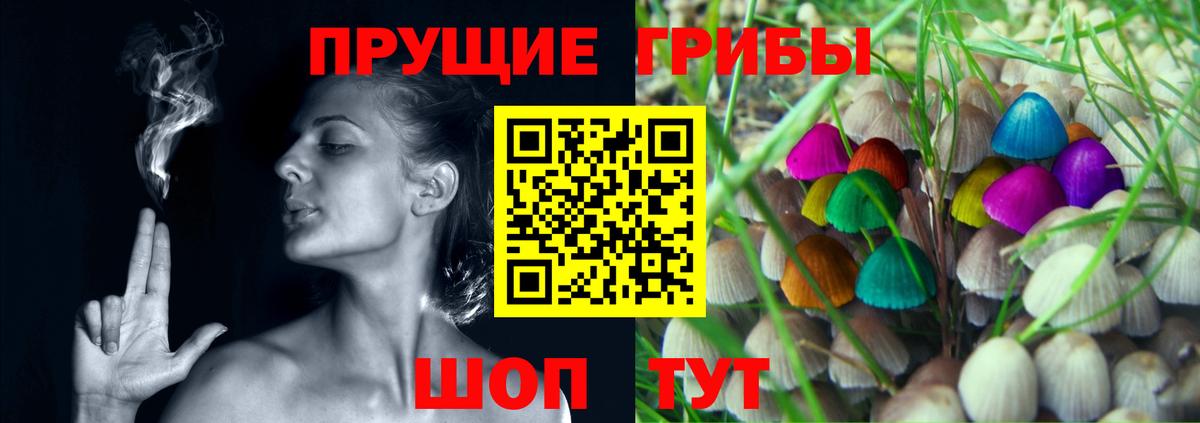 Псилоцибиновые грибы мухоморы Тайшет