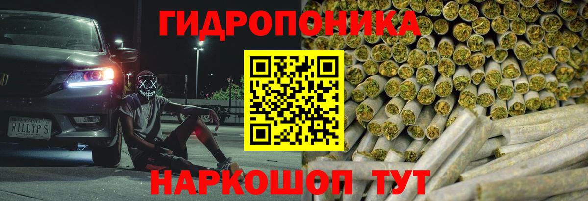 Шишки марихуана Bruce Banner  Вход с VPN  Бошки Шишки Ganja  Бошки Шишки сатива  Тайшет 
